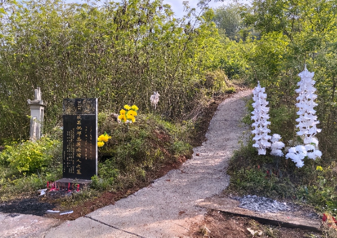 区区小事，擦亮民生底色，绘就社区幸福图景