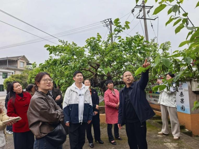 宜宾市叙州区组织“叙创巾彩·蚕桑工坊”赴洪雅、金堂交流学习