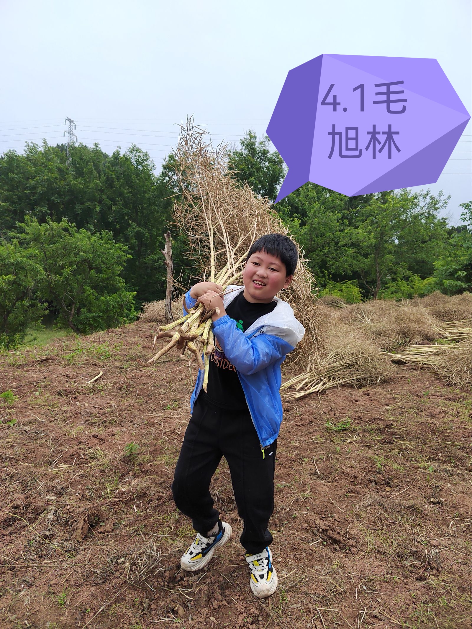 弘扬劳动精神 践行劳动美德——城北小学开展五一劳动节系列活动