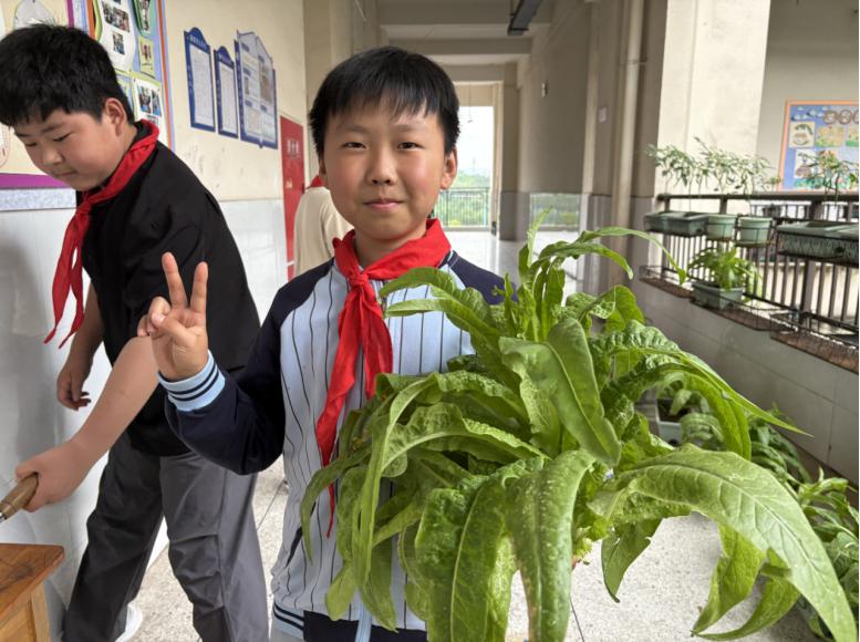 以劳润心，乐享丰收——宜宾市南溪区福临小学校开展蔬菜种植实践活动
