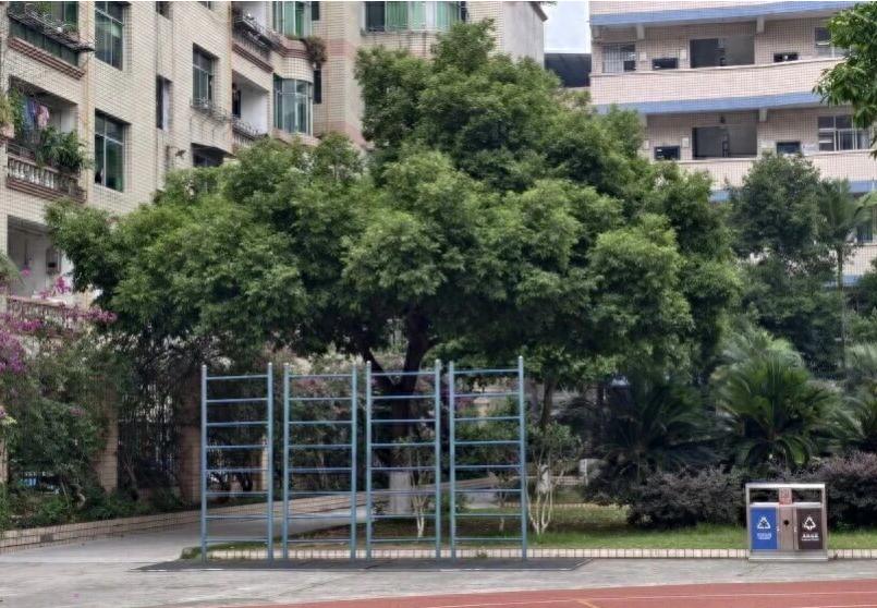 【宜宾市南溪四中印象：点滴皆成诗】第56期：离校前，再回老地方待片刻吧