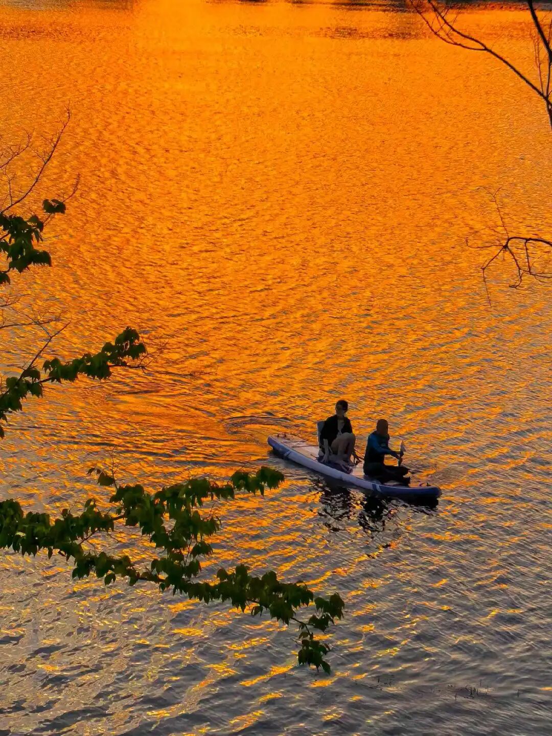 遂宁夏日“顶流”，大片来了！