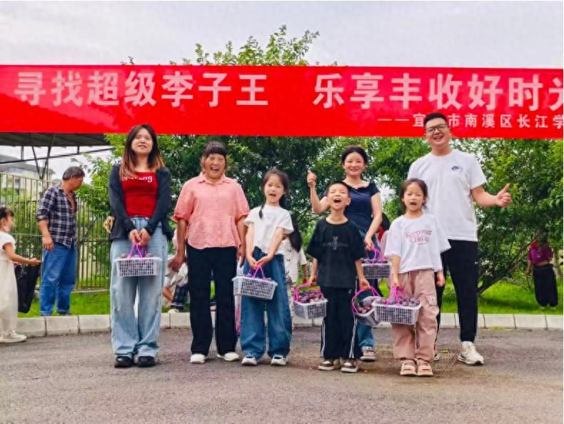 采摘满枝果香 乐享劳动之乐——宜宾市南溪区长江学校开展“寻找李子王”凤凰李采摘节活动