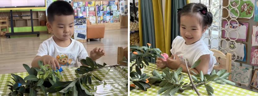 森遇初秋，自然启新 宜宾三江新区菜园沱幼儿园赴一场秋日成长之约
