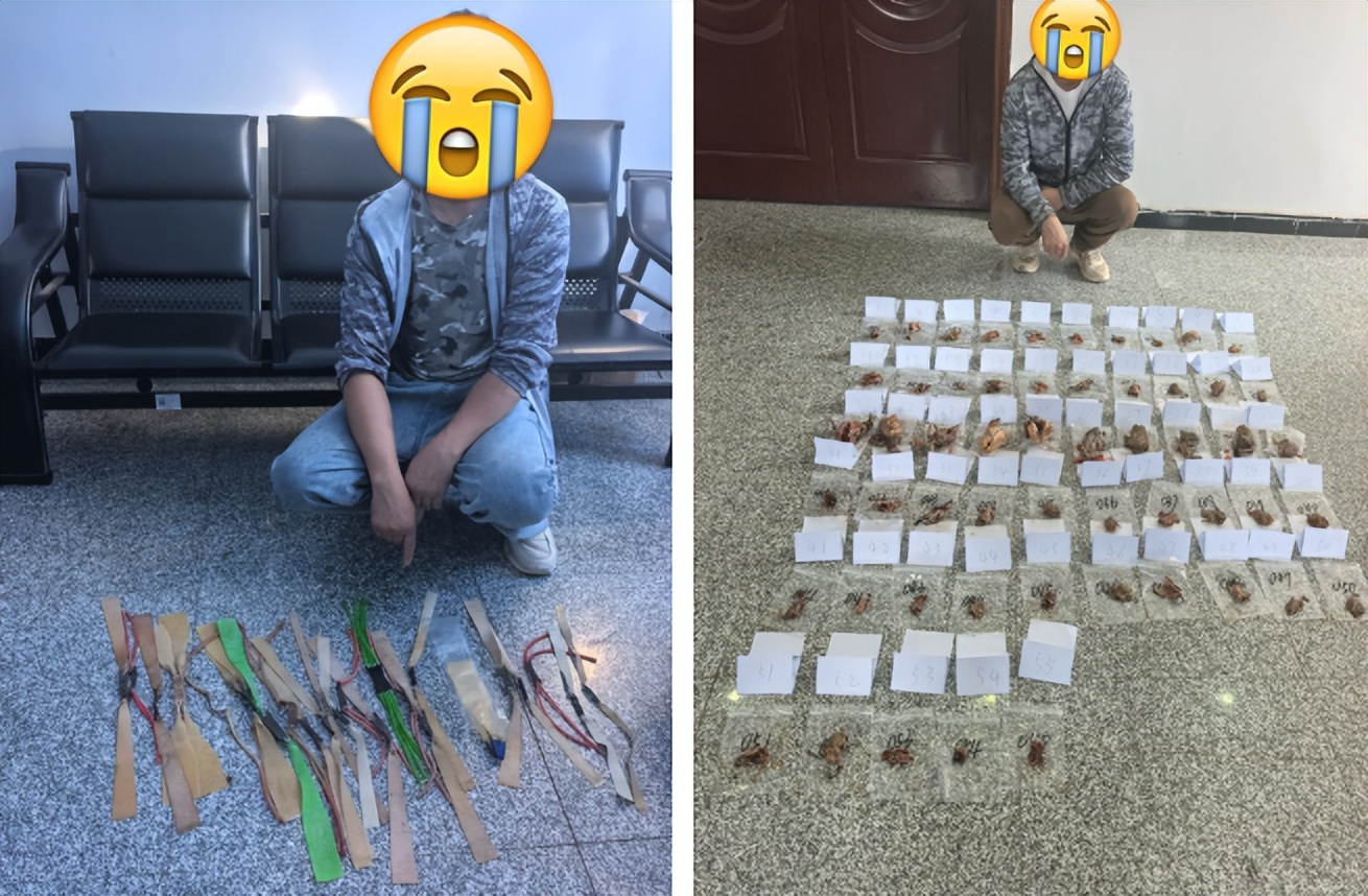 弹弓打鸟不是玩玩而已！遂宁男子非法猎捕55只“三有”动物被刑拘