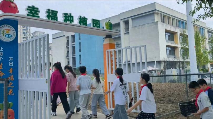 秋日劳育 薯获满满——宜宾市南溪区福临小学校开展劳动基地实践活动
